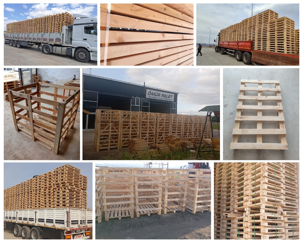 Maastricht Houten Kisten, Europallets Groothandel Kopen